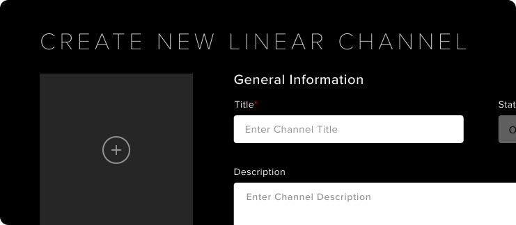 Create_New_Linear_Channel_-_Image_Detail.png
